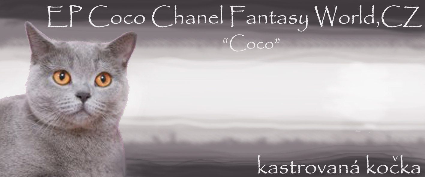 Coco Chanel Fantasy World