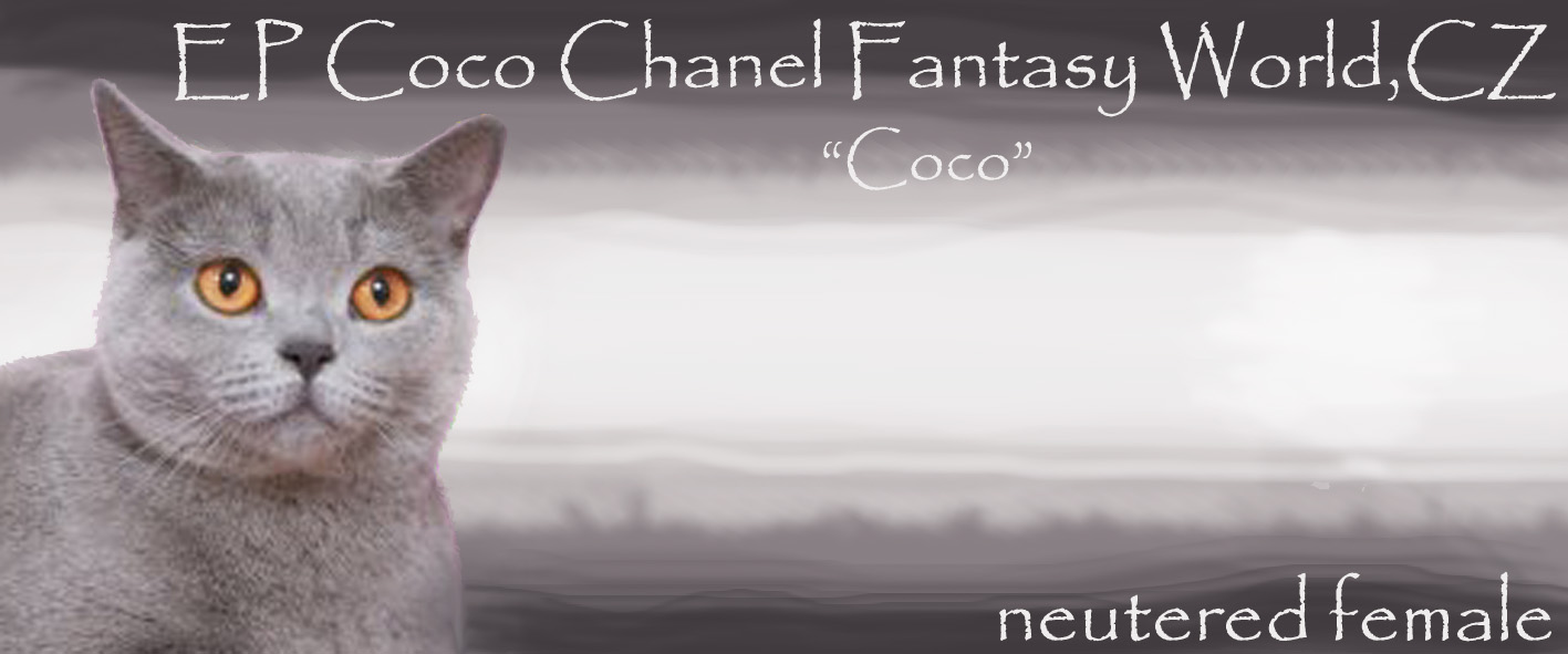 Coco Chanel Fantasy Word