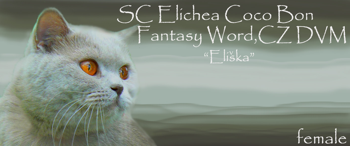 Elichea Coco Bon Fantasy Word