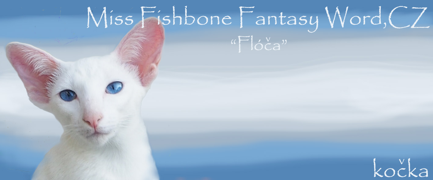 Miss Fishbone Fantasy Word