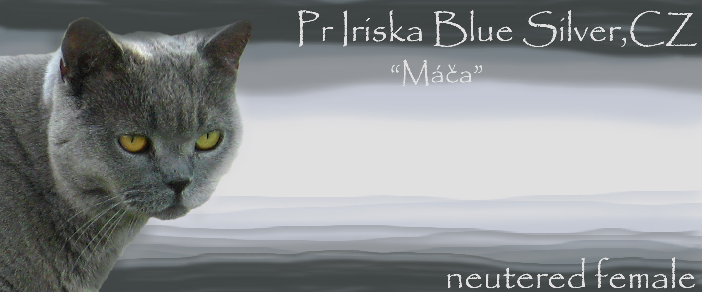 Iriska Blue Silver